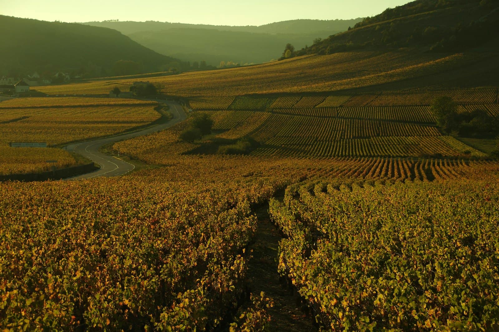 Borgonha — Domaine de la Romanée-Conti