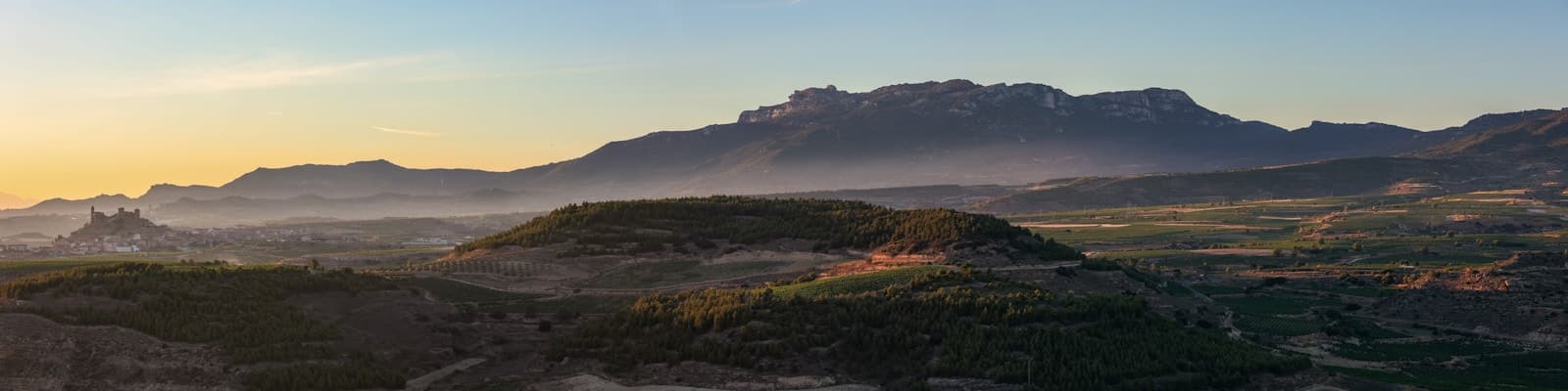 Rioja & Ribera — Vega Sicilia Único